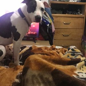 Meet your Posher, Maury